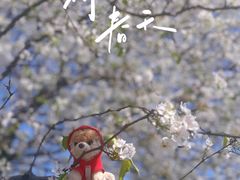 -上海辰山植物园