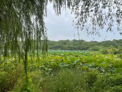 -盘龙城国家考古遗址公园