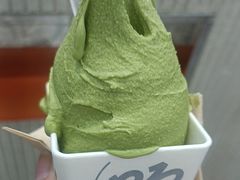 -野人先生现做冰淇淋(西安赛格店)