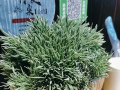 -春熙小馆(乘风庄店)