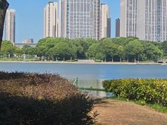 -尚贤河湿地