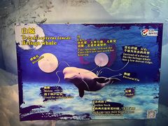 -珠海长隆海洋王国