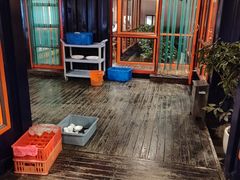 -大队长大灶鹅