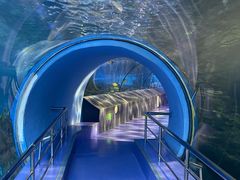 -太平洋海底世界