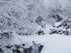 -龙苍沟森林公园