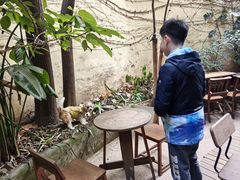 -懒鱼时光馆(沙坪坝店)