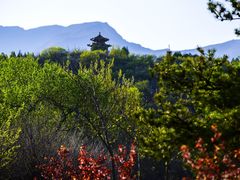 -白水寺森林公园
