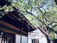 -唐风温泉