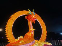 -万绿园