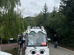 -青藏高原野生动物园