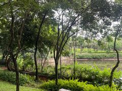 -深圳龙潭公园