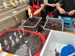 -小田油焖小龙虾(双井店)