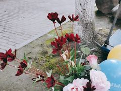 -杭州滨江欧文幼儿园