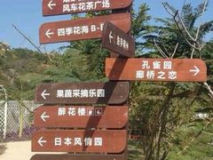 -丹樱生态园
