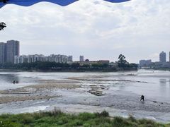 -平安桥张氏肥肠粉