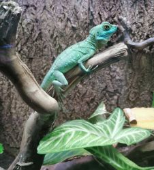 -酷嗒动物文化乐园(cutezoo西溪乐天城店)