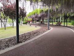 -嘉定紫藤园