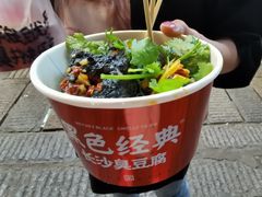 -黑色经典臭豆腐·湖南特产(坡子街店)