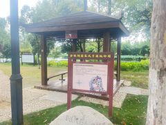 -金银湖国家城市湿地公园