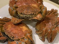 -王宝和酒家(黄浦店)