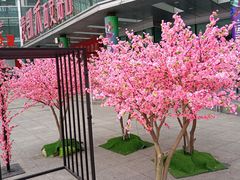 -麦当劳(天兴罗斯福店)