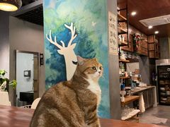 -咖法森林·咖啡  酒吧(天河店)