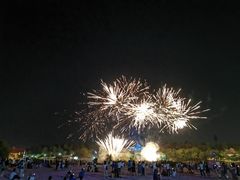 -大塘金香草谷