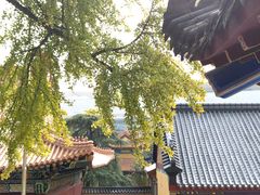 -宝通禅寺