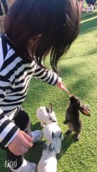 -萌宠亲子动物乐园(槐房万达店)