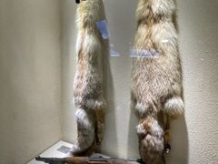 -迪庆藏族自治州博物馆