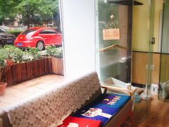 -派联宠物医院·24h·CT·异宠