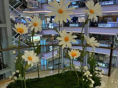 -红星美凯龙(北京北四环店)