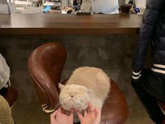 -Double cafe