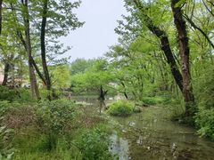 -西溪南古村落景区