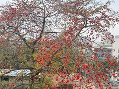 -中山大学附属第三医院(天河院区)