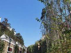 -西部长青自然儿童乐园