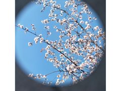 -蜀冈西峰生态公园