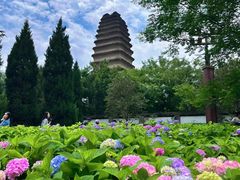 -西安博物院