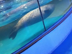 -台州海洋世界