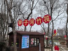 -合肥滨湖国家森林公园