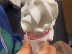 -麦当劳(北京大兴机场二层国内到达(安检外)店)