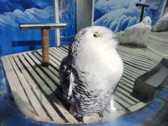 -成都浩海立方海洋公园