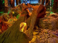 -乐山乌木文化博览苑