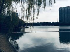 -南翔镇银翔湖公园