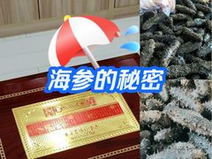 -宫品海参专卖店(静安大宁店)