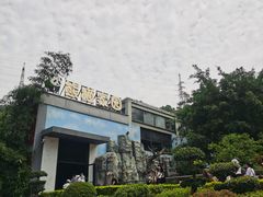 -泉州海丝野生动物世界