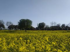 -东湖落雁景区