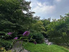 -河南省黄河迎宾馆