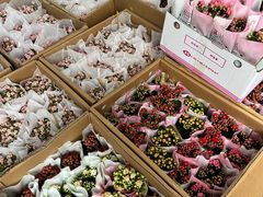 -龙大花卉苗木市场