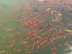 -莆田南少林寺